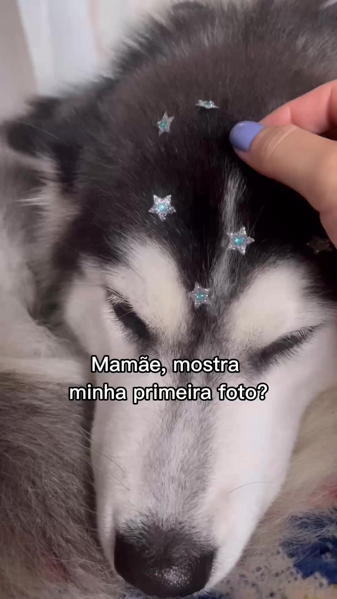@Nanda Roble