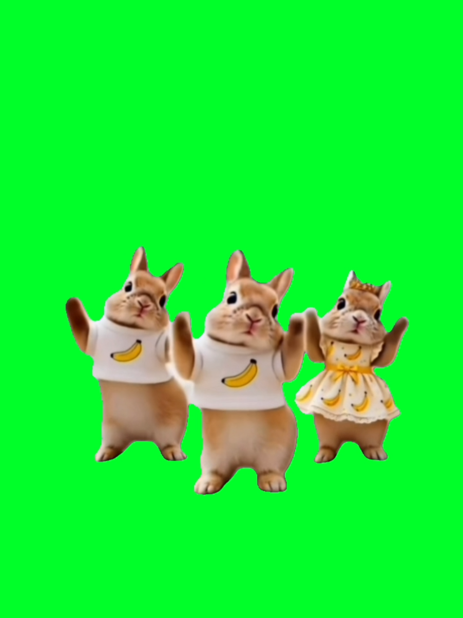 @TikTok Template