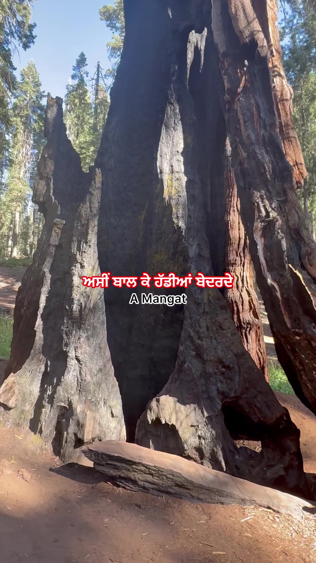 @A Mangat