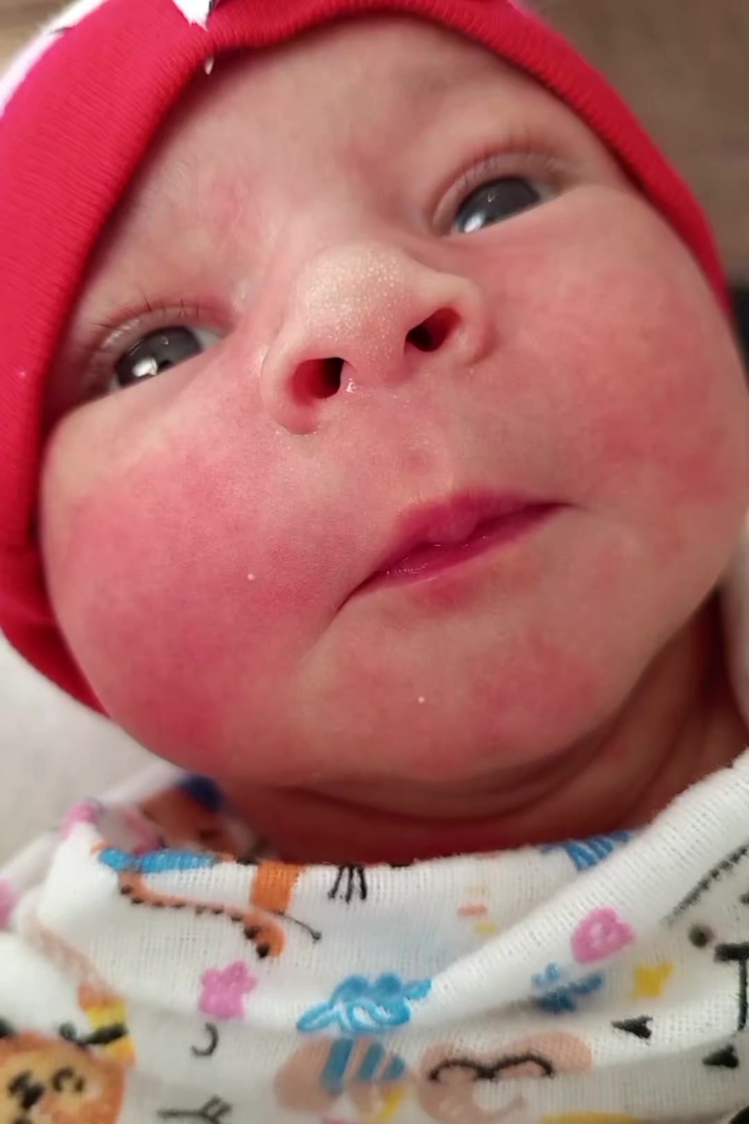 @25.01.2026🐣❤️