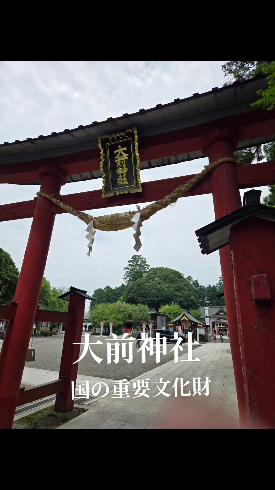 @yasu🍶🍻⛩️
