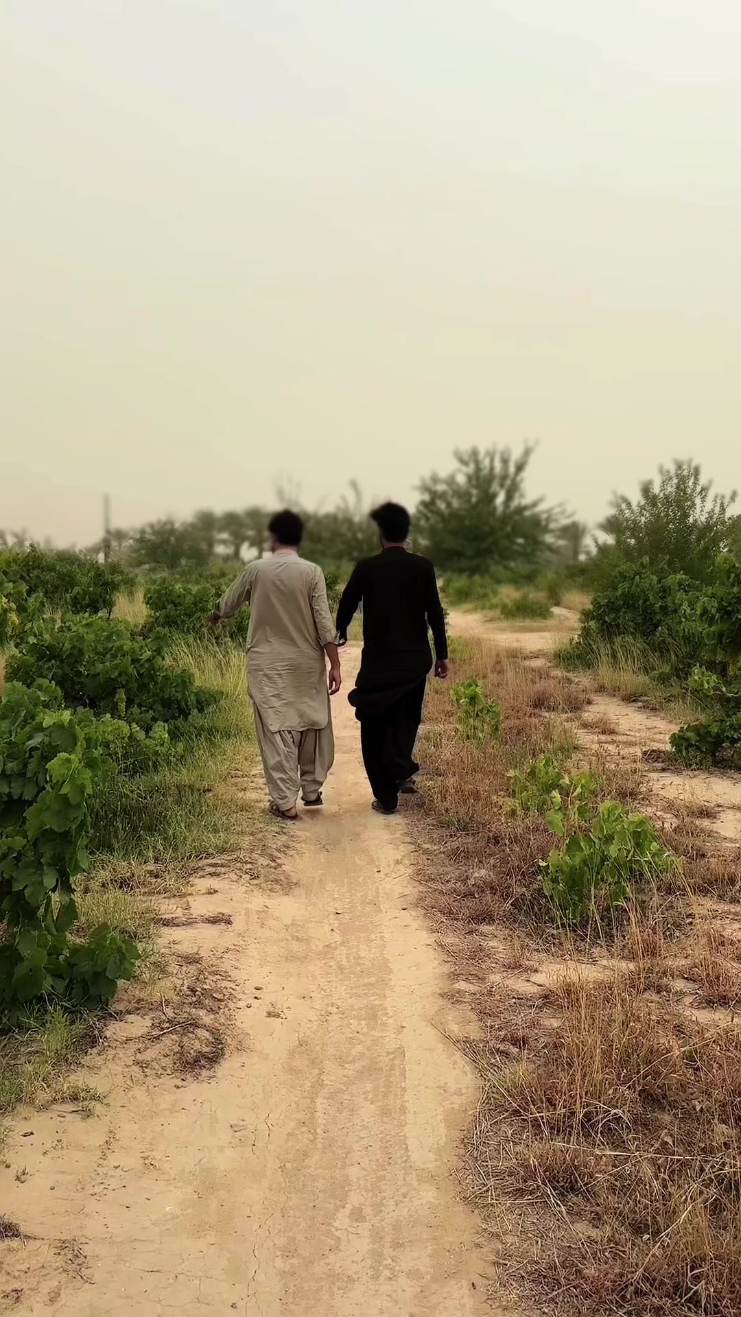 @میروانی مہران ♥️✌️