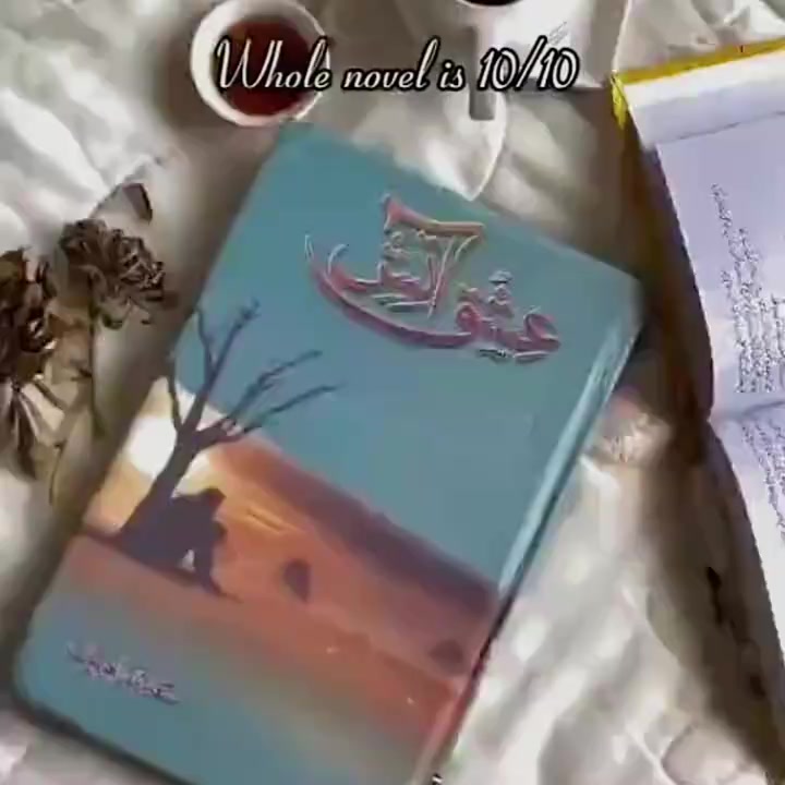 @⎯꯭̽ᥫ᭡ 𝑰𝑴𝑨𝑴𝑨᭄🦢⎯꯭̽💗