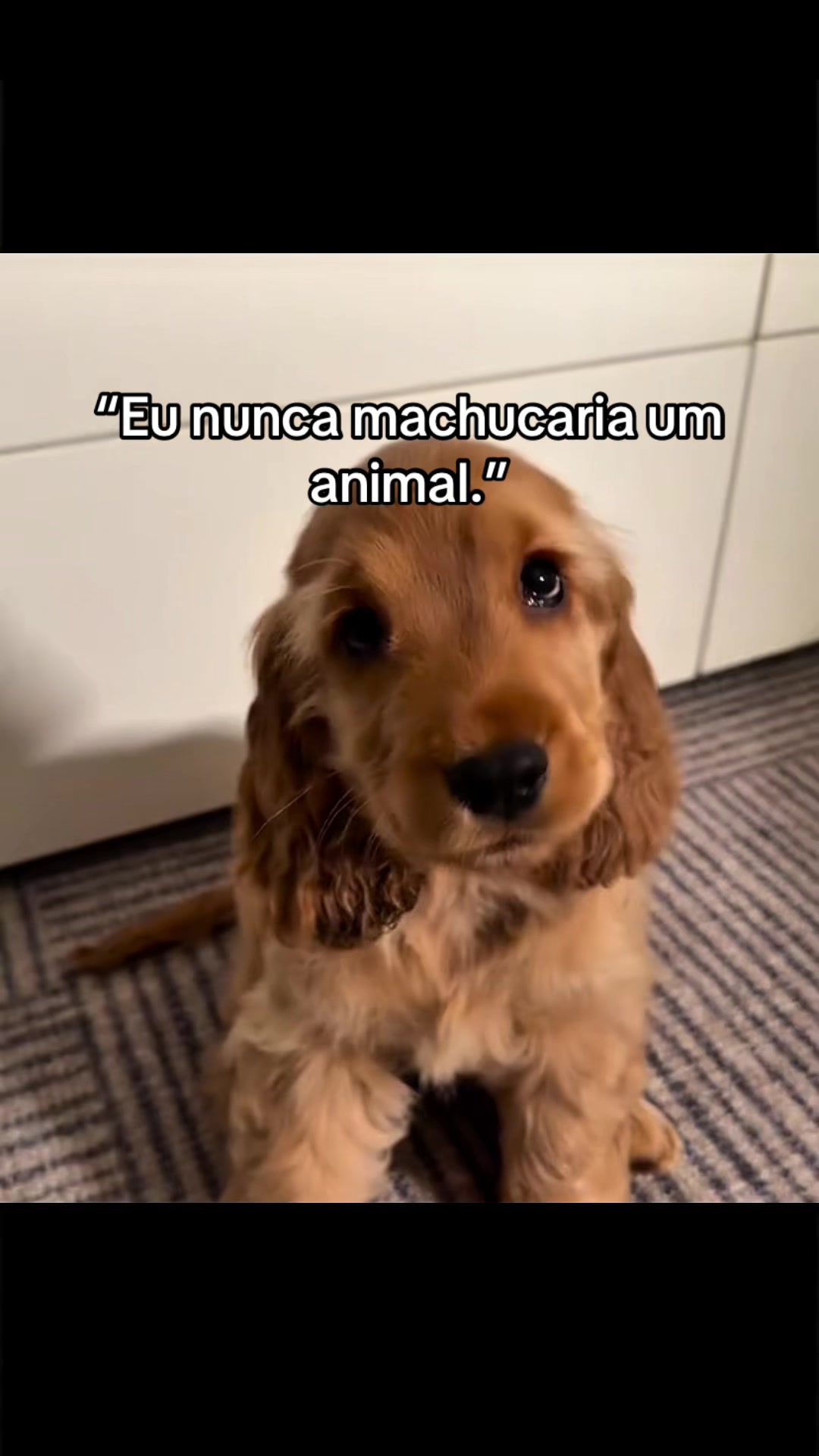 @Carne é cruel