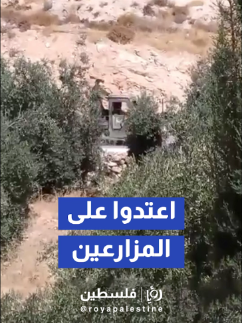 @Royapalestine رؤيا فلسطين