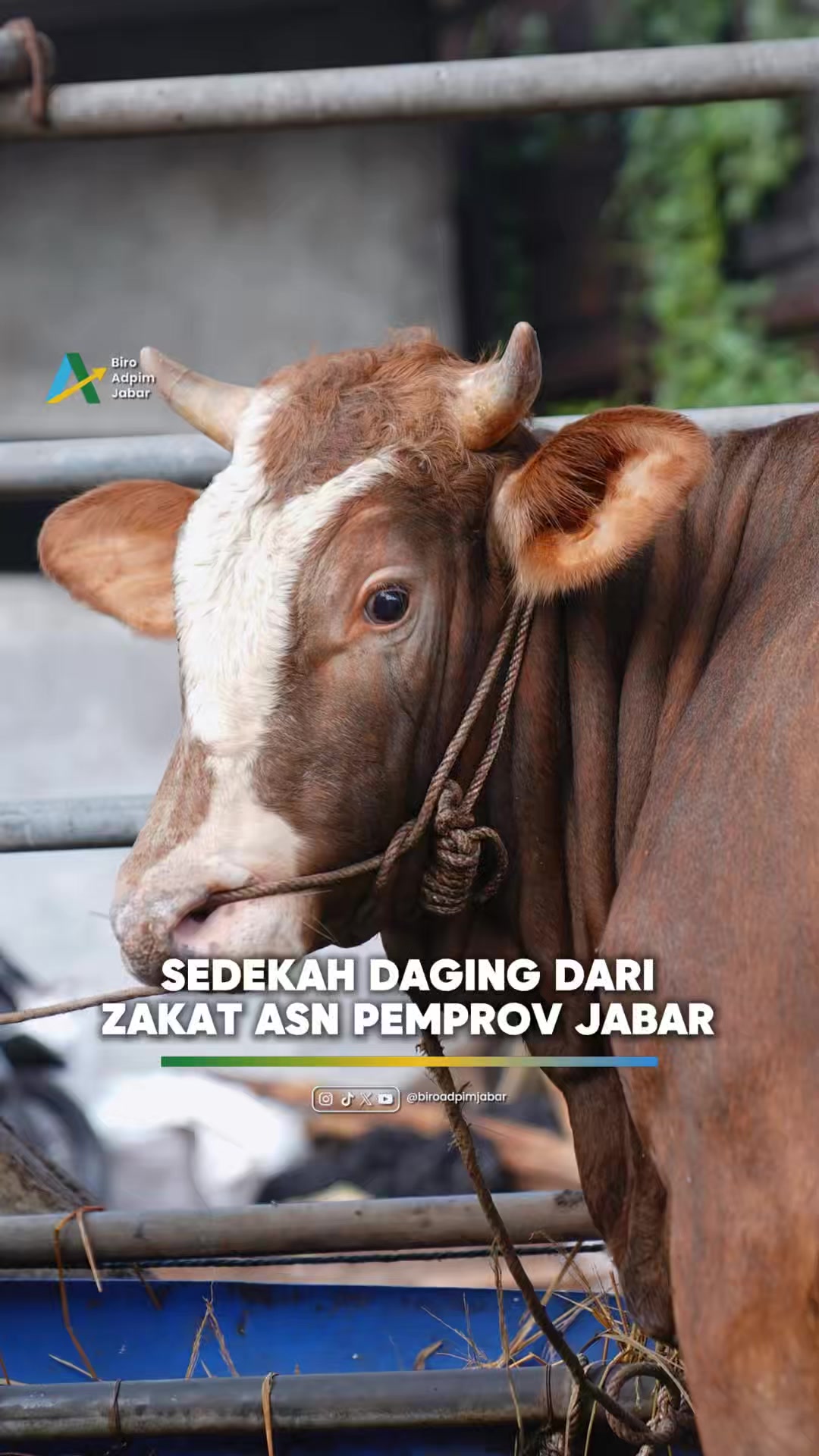 @Biro Adpim Jabar