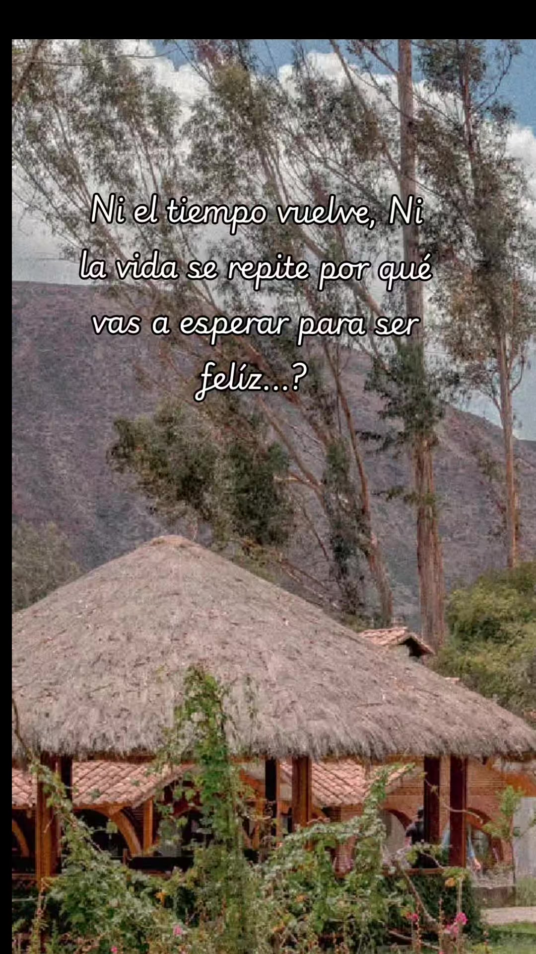 @Isabel tadshi