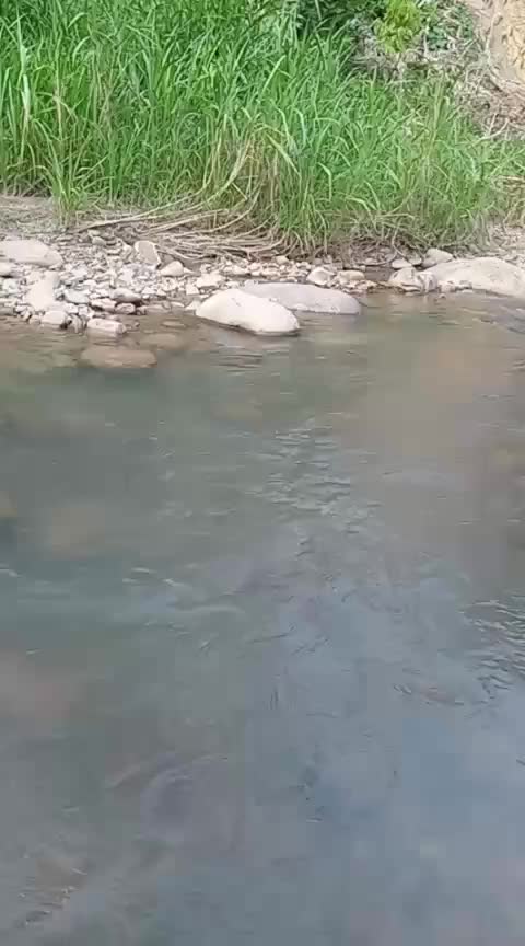 @Shahnizam 47