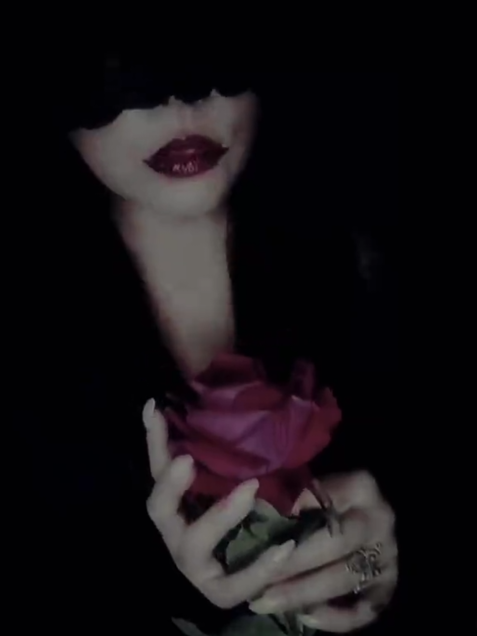 @🫧🍓KirLen💋🫧