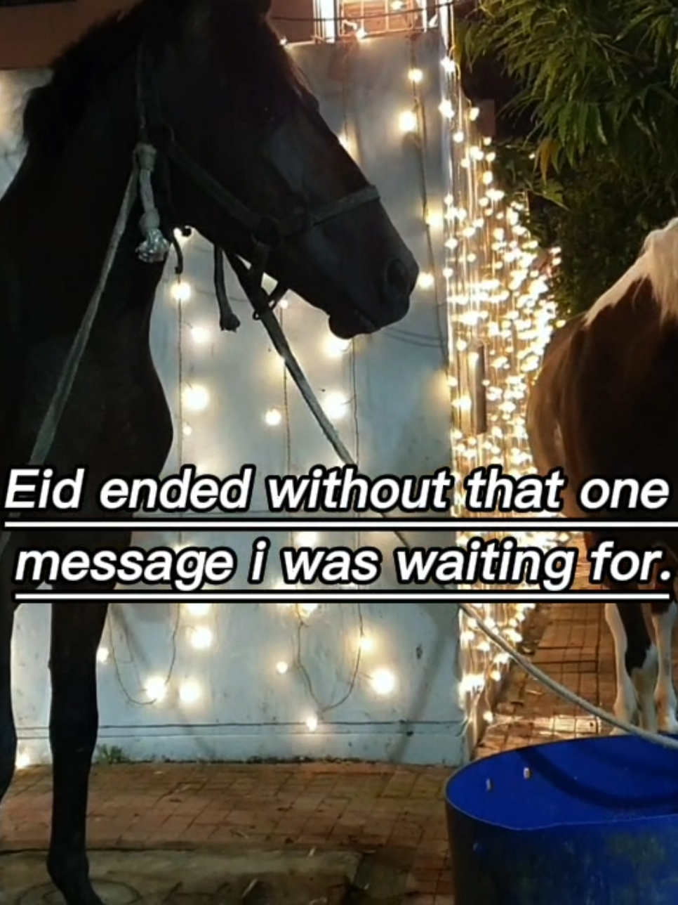 @11:11