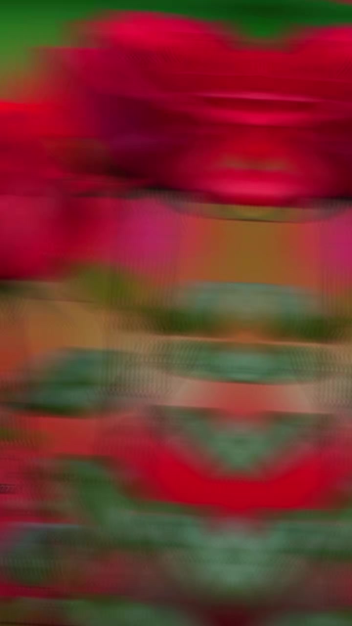 @๐ฅ๐ฅแแ
แญโค แฅแป๐ฅ๐ฅ