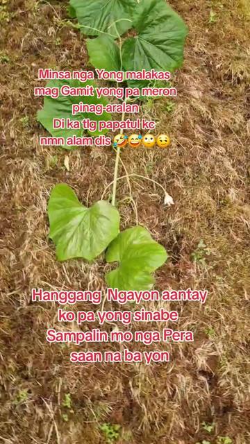 @🇵🇭Baki-kang🇧🇻