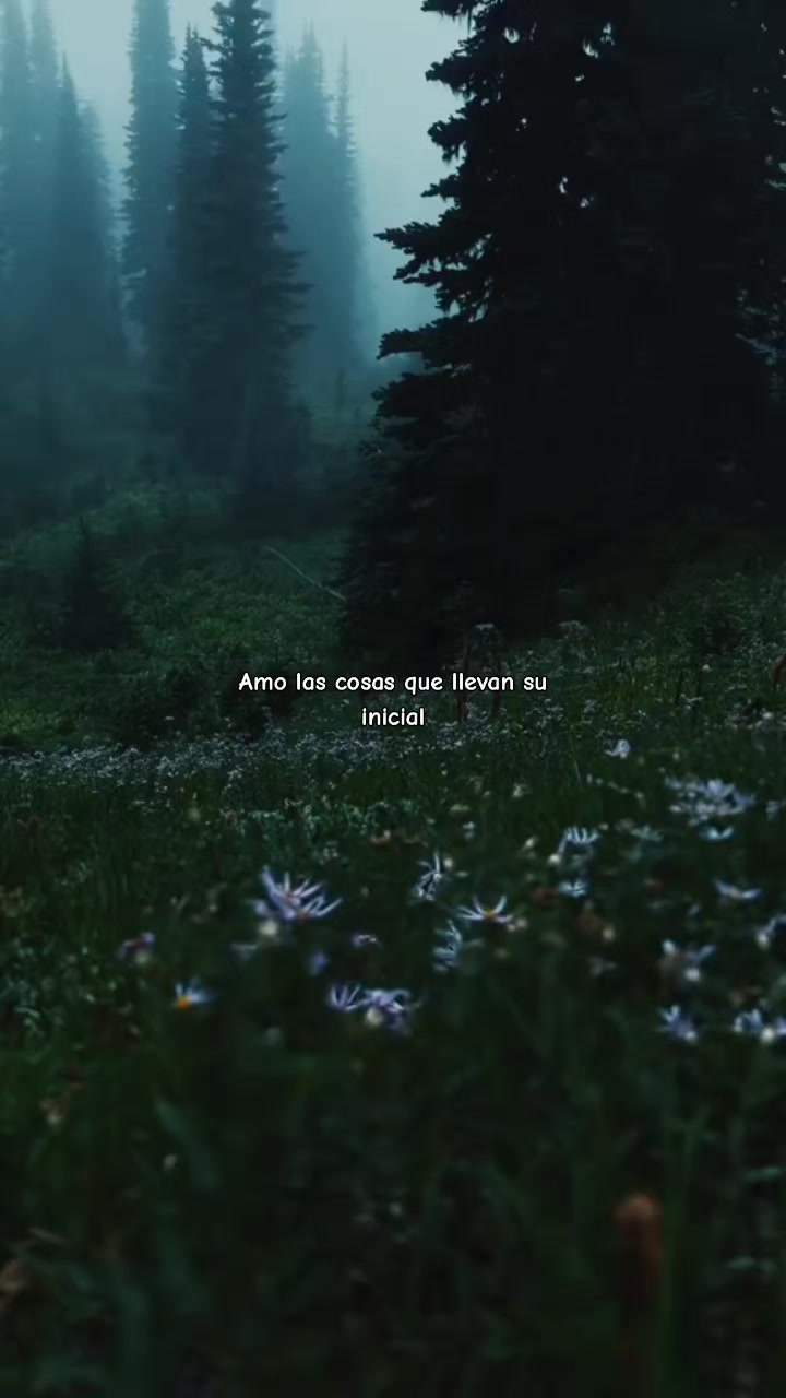 @Titi