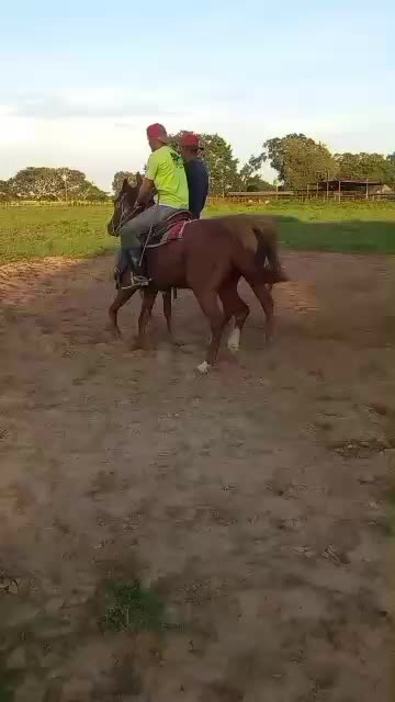@JOSÉ DAVID