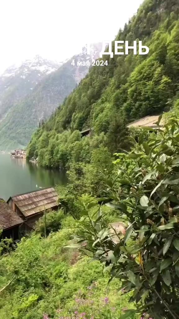 @саша шишка