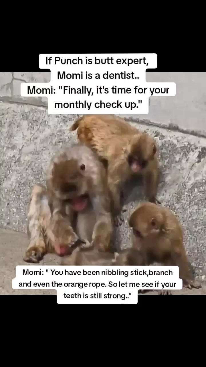 @Mochi/Rusty