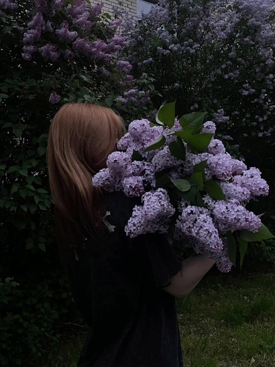 @Kari Kar