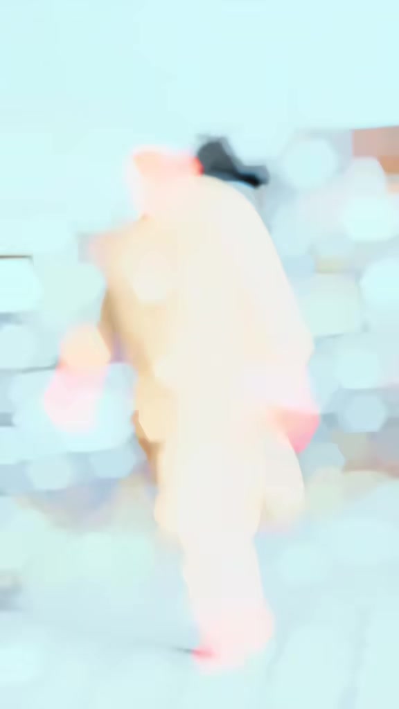 @King___Gull