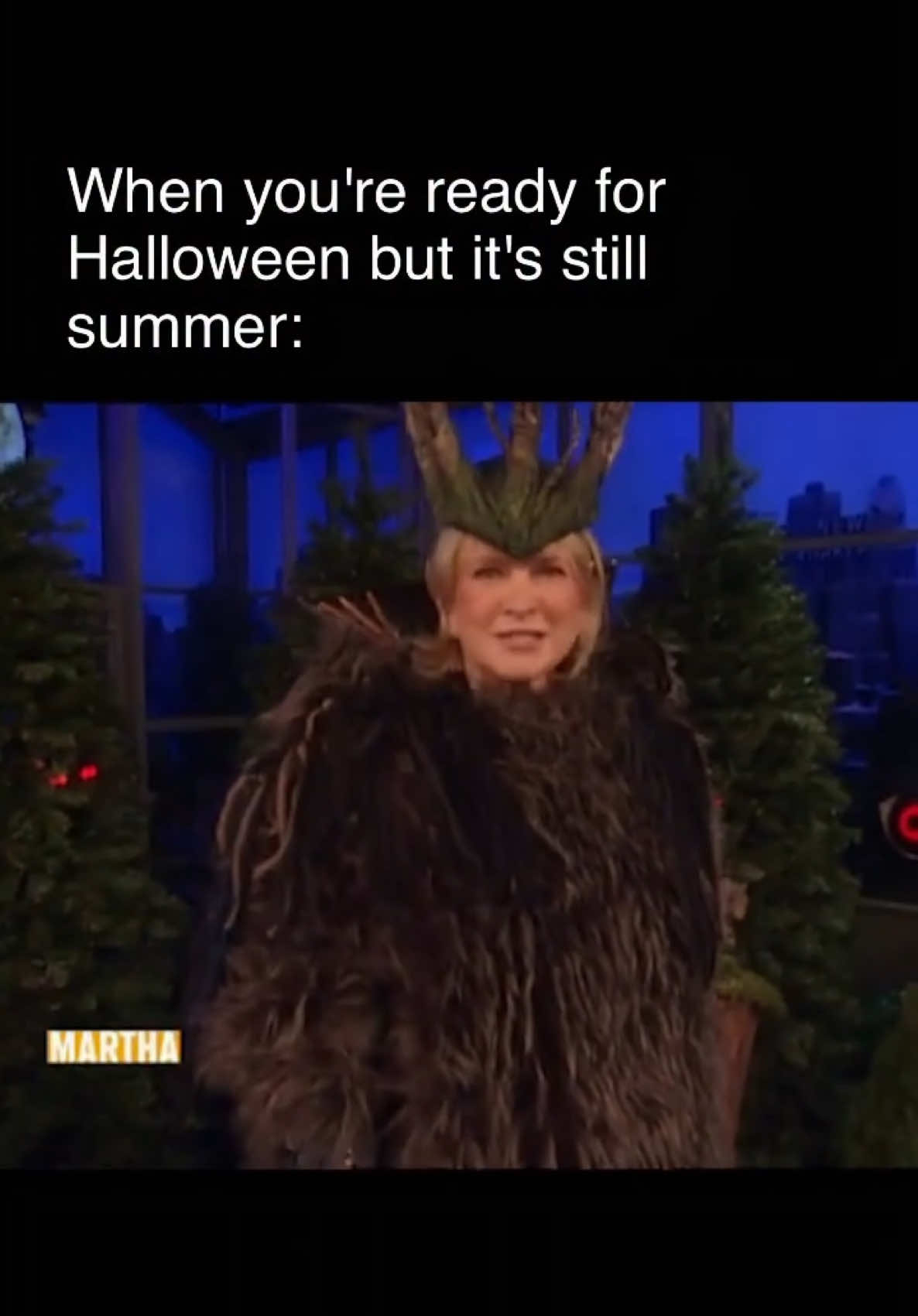 @Martha Stewart