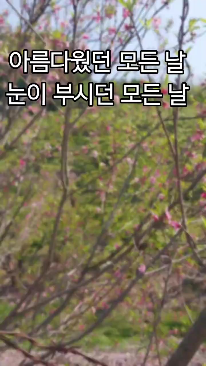 @맘껏웃어요