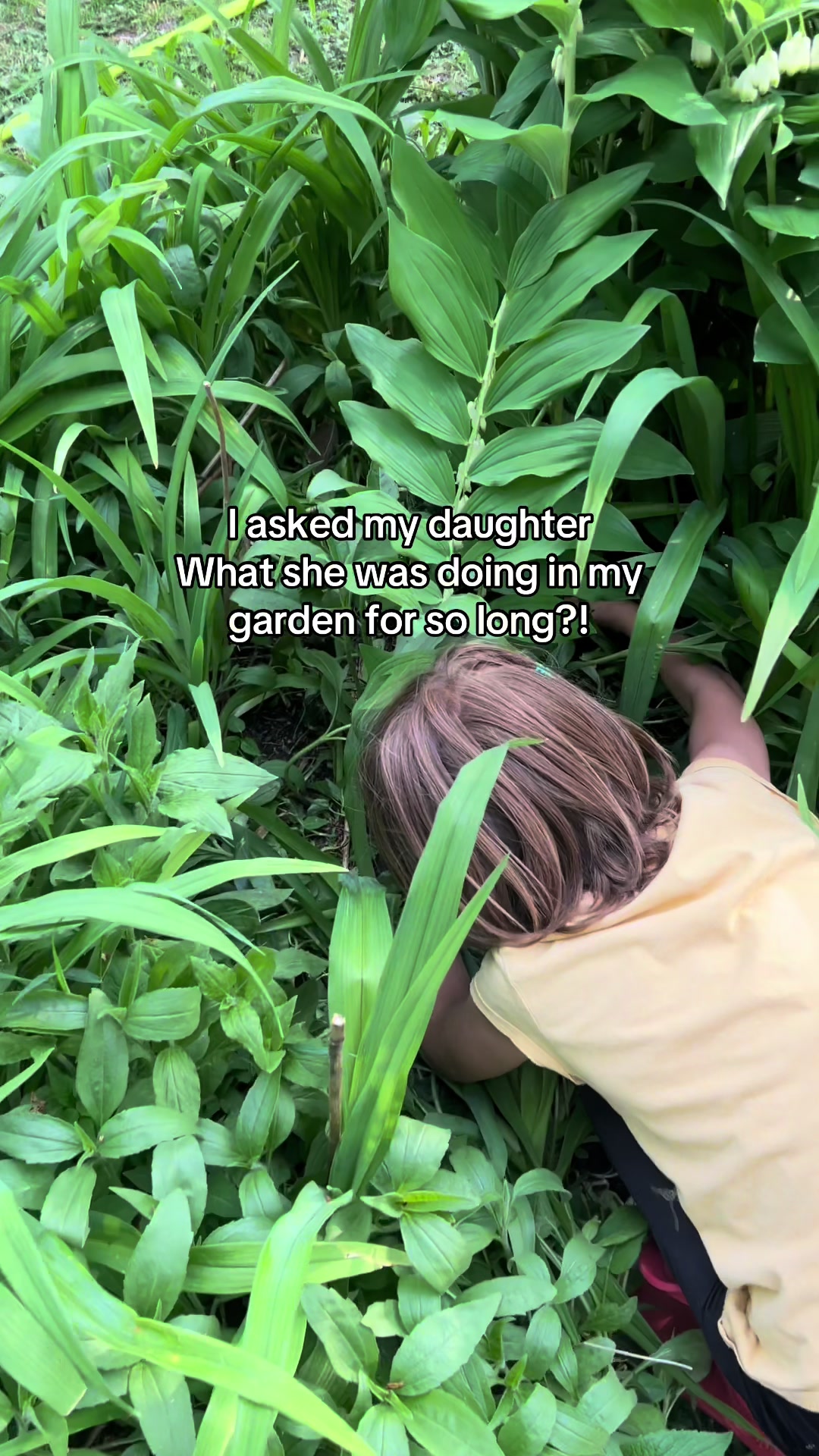 @Pond Side Acres
