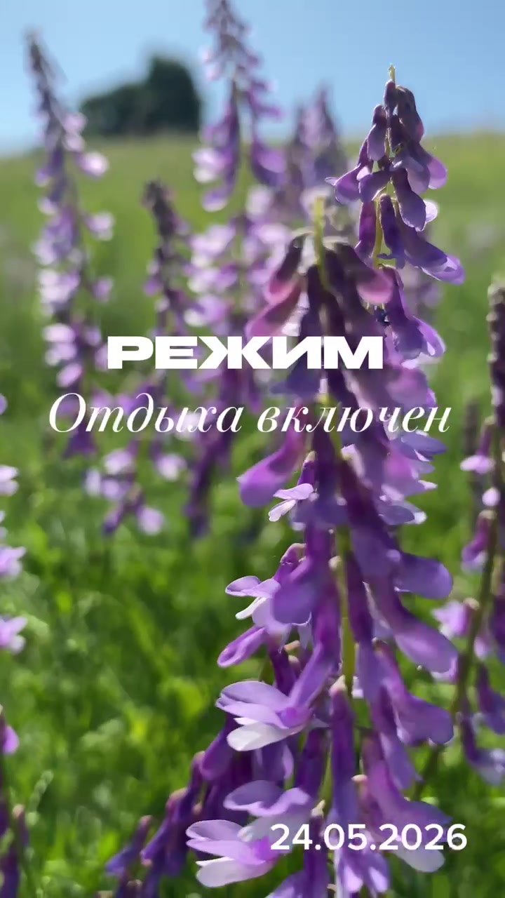 @Татьяна Моисеева