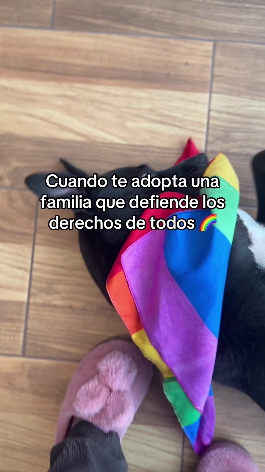 @Camila Caracciolo