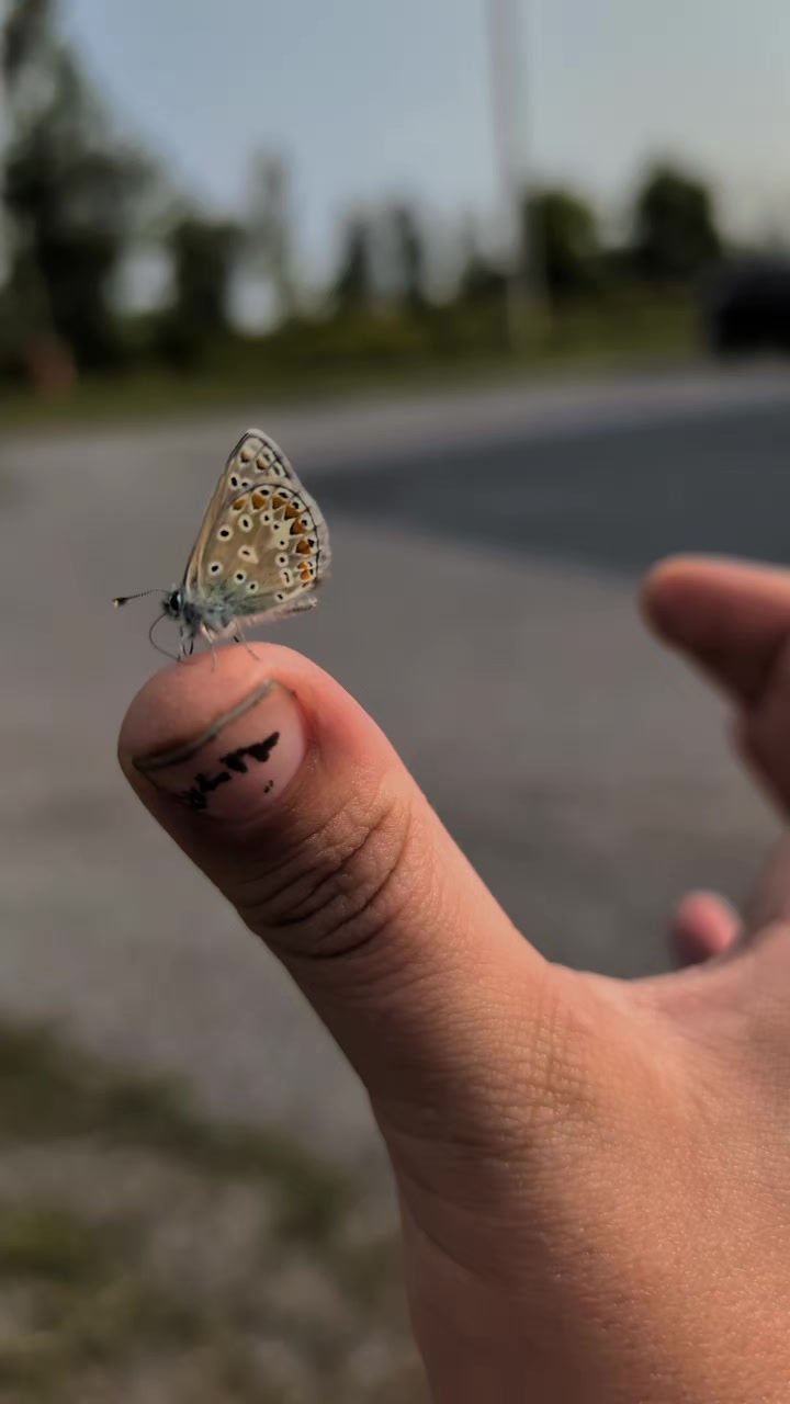 @buzzedqueen