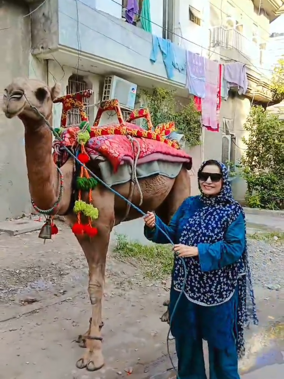 @Durdana Rehman