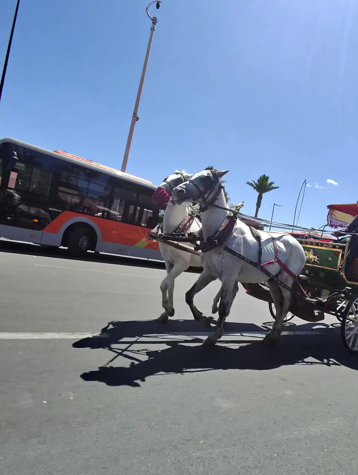 @Morocco top tours