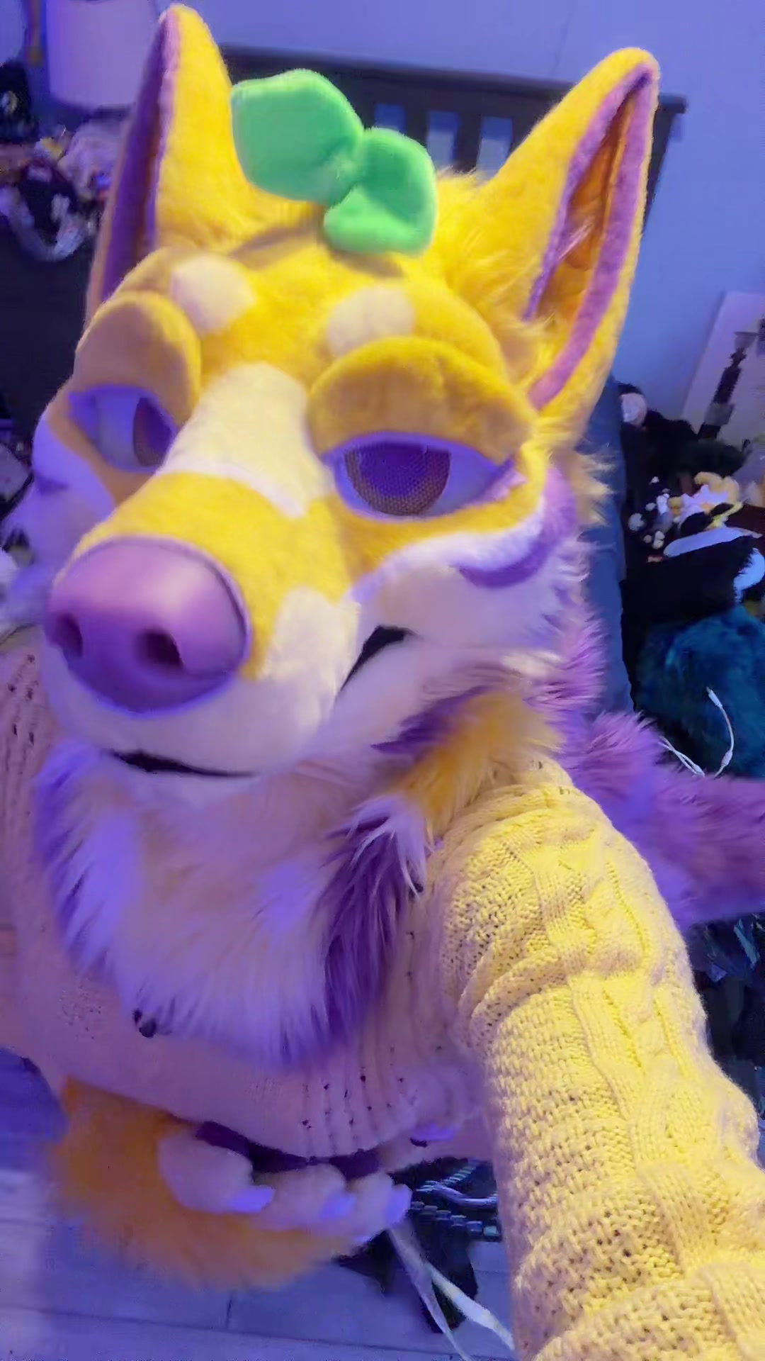 @⭐️KiwiFurSure⭐️