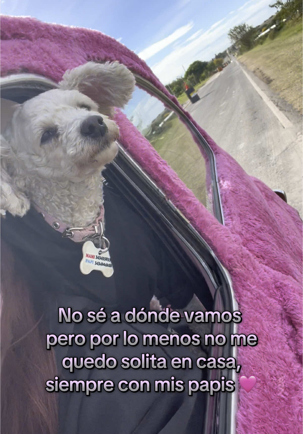 @brinnasalell