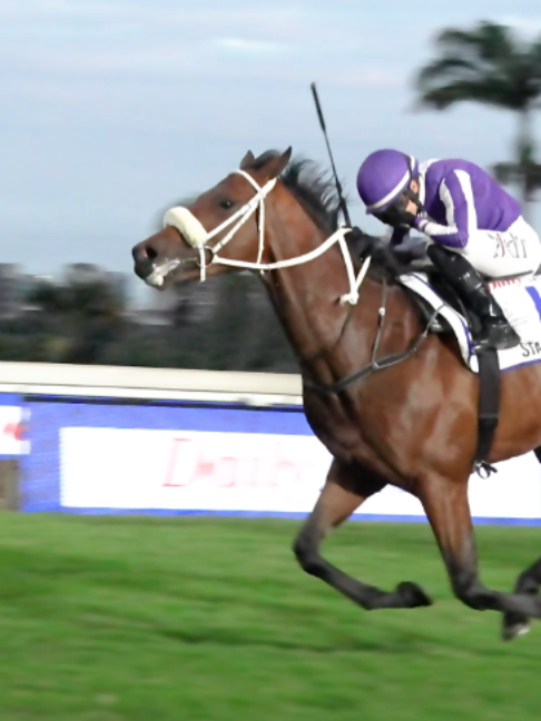 @Gallop TV