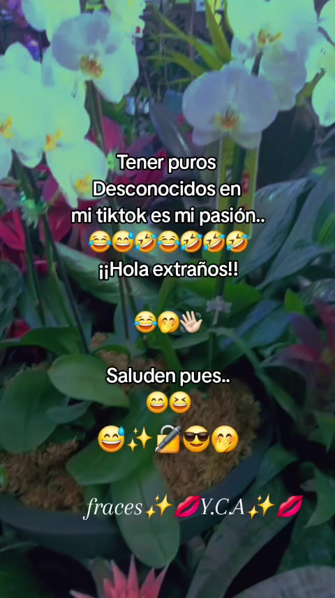@Odontologyeni
