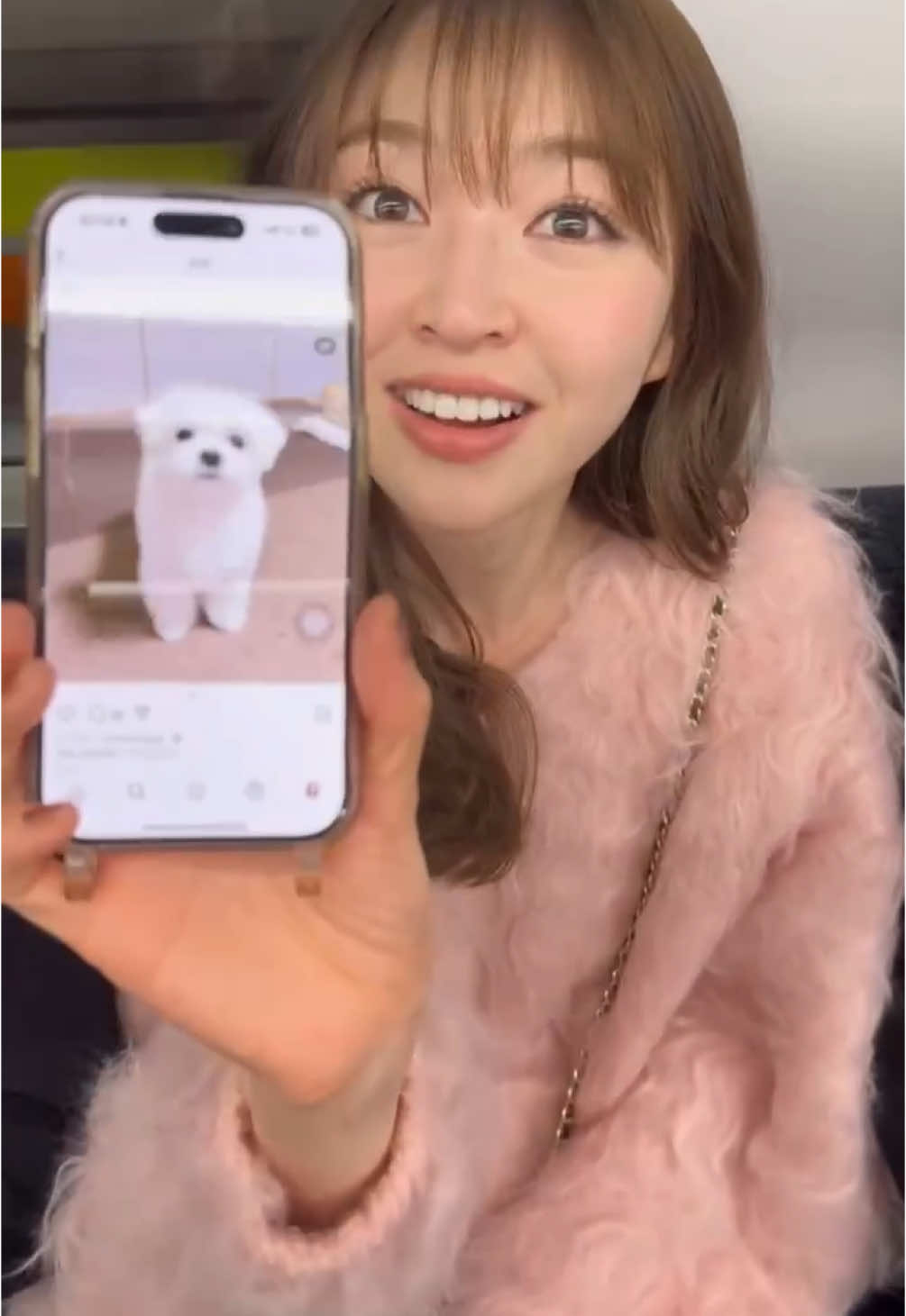 @上西星来