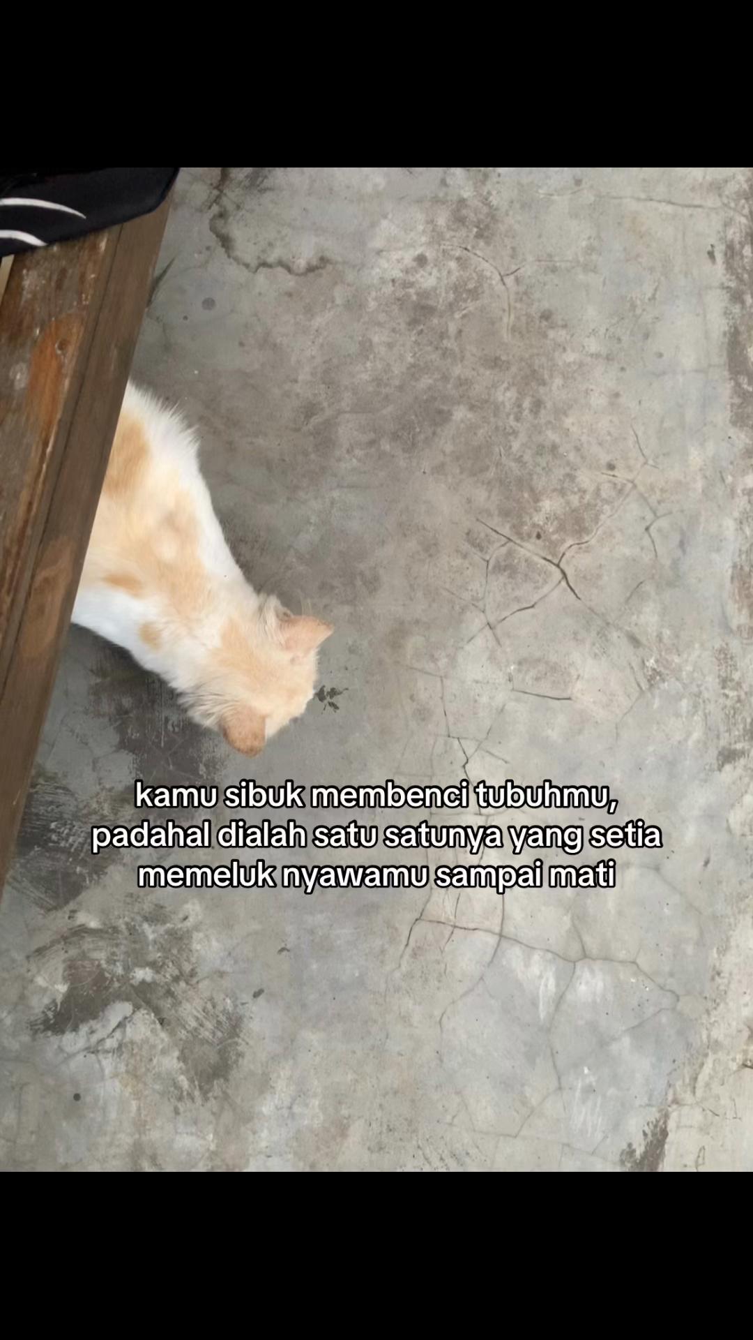 @a ⛓️