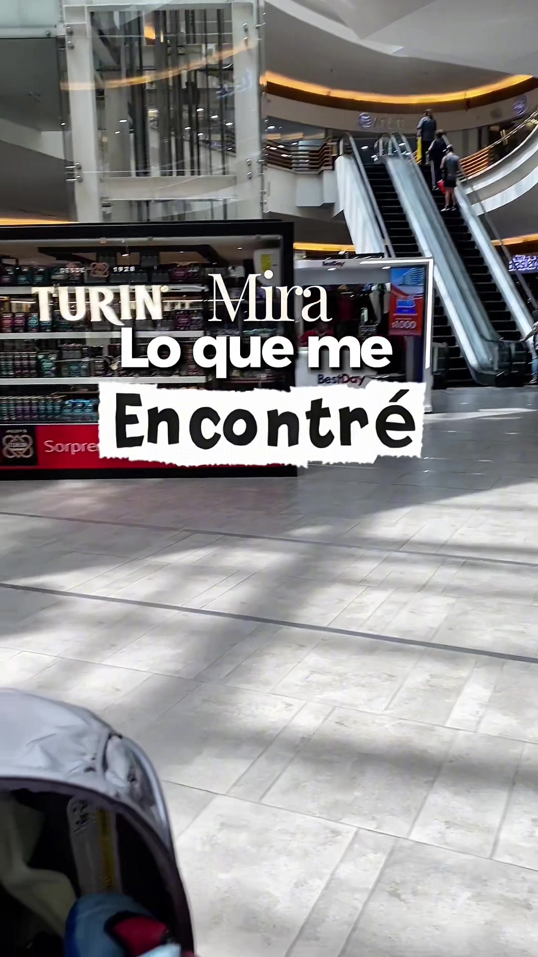 @Sharony Maciel