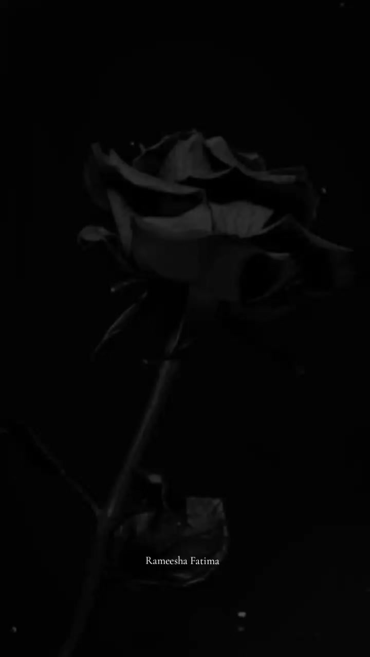 @Rameesha Fatima