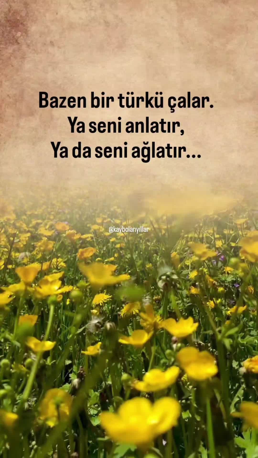 @𝐊𝐚𝐲𝐛𝐨𝐥𝐚𝐧 𝐲ı𝐥𝐥𝐚𝐫