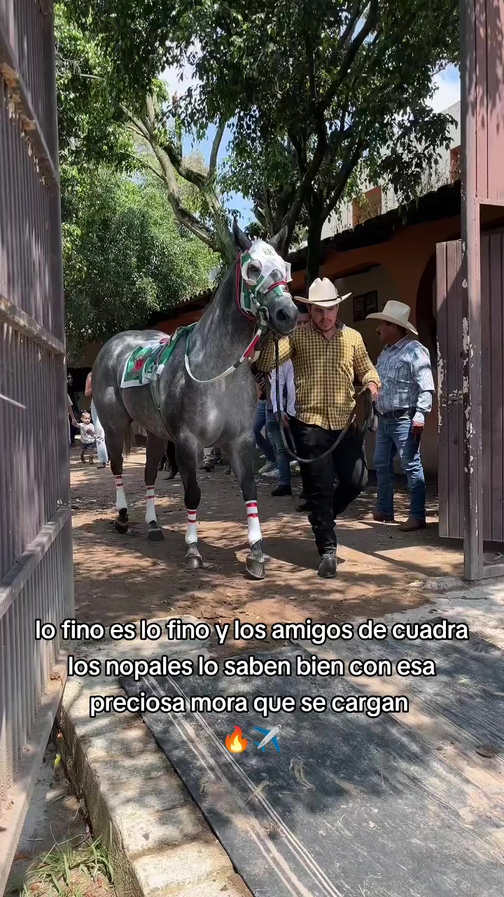 @carriles altos de jalisco🐎