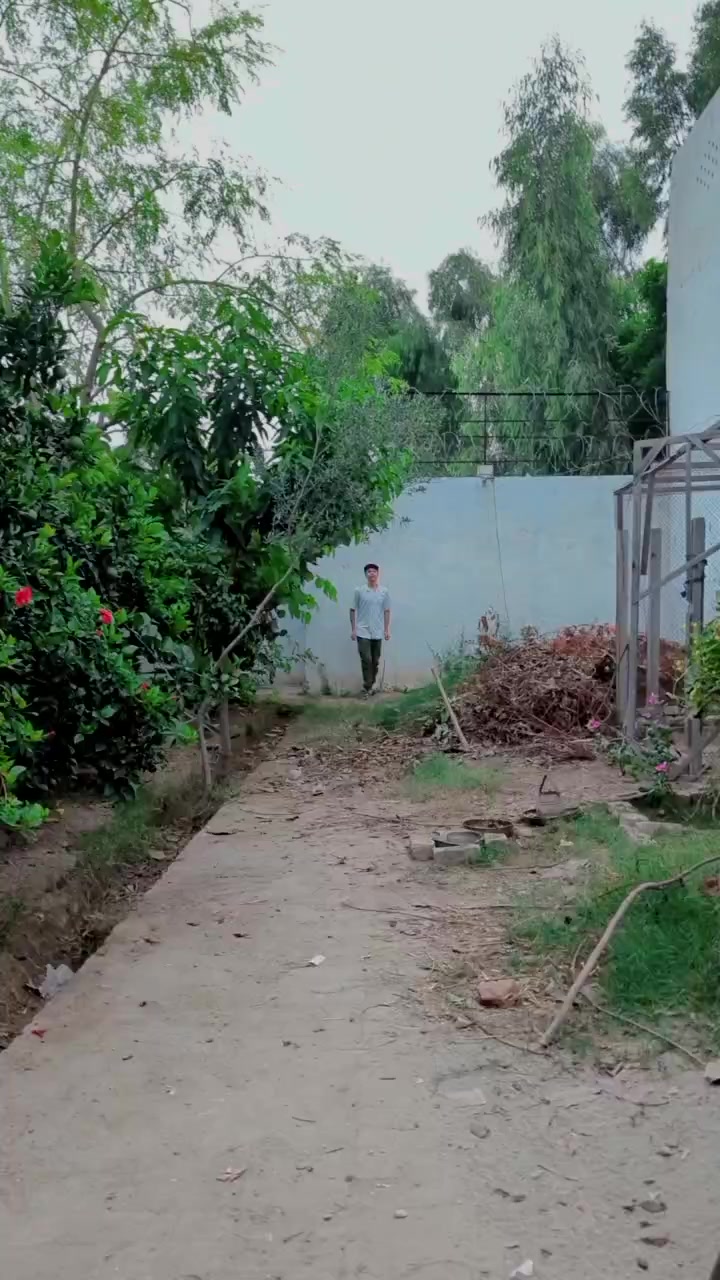 @Ghazan Mangol