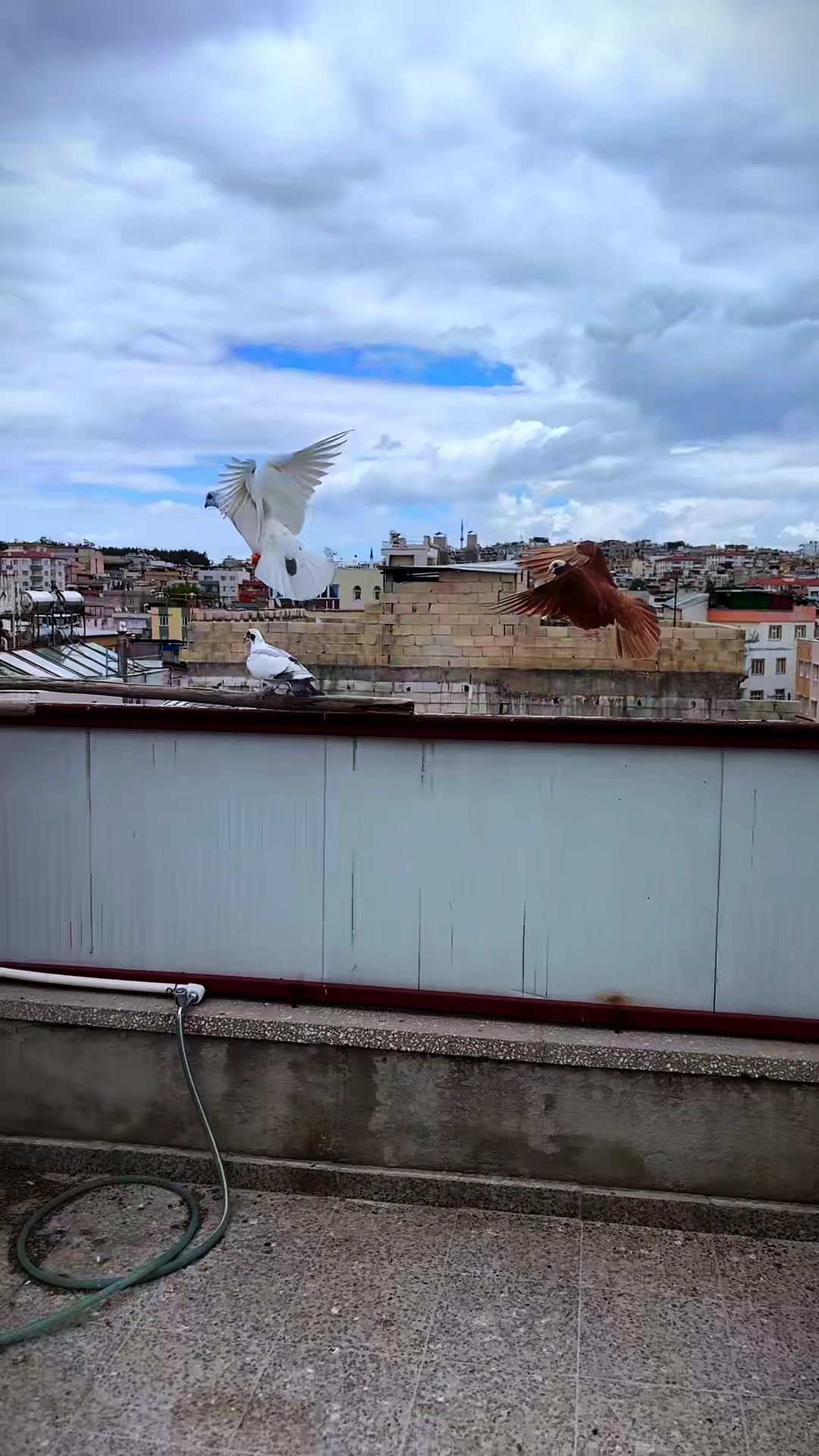 @Hüseyin karakeçi