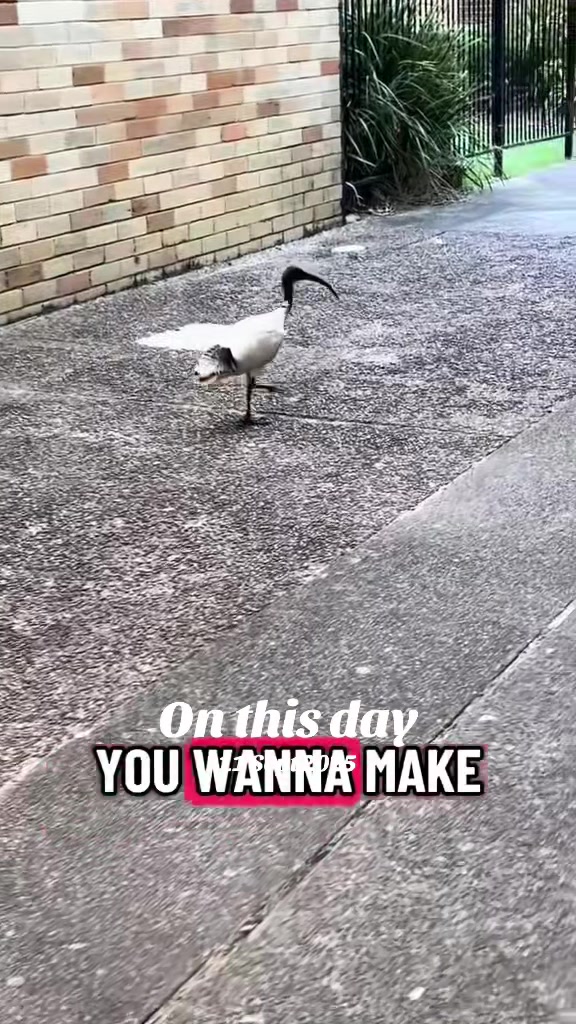 @Sindy 🦘🇦🇺Gen❌