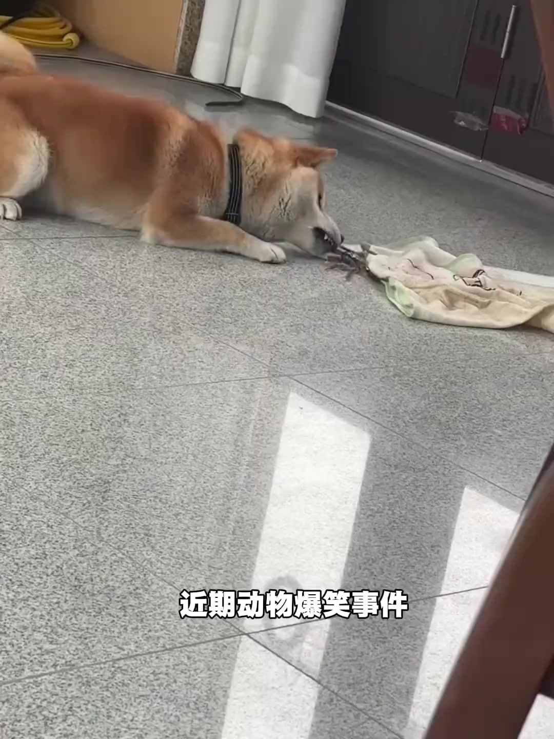 @秦始皇