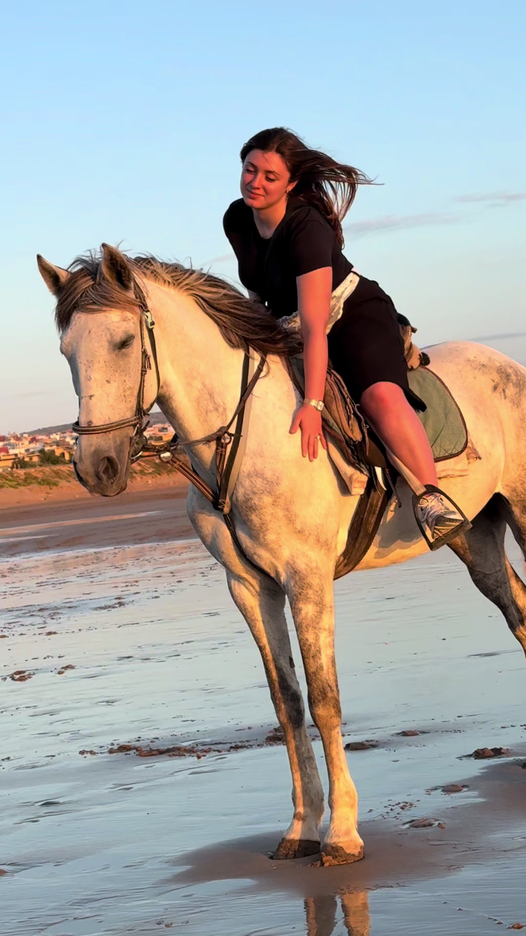 @Cheval_agadir