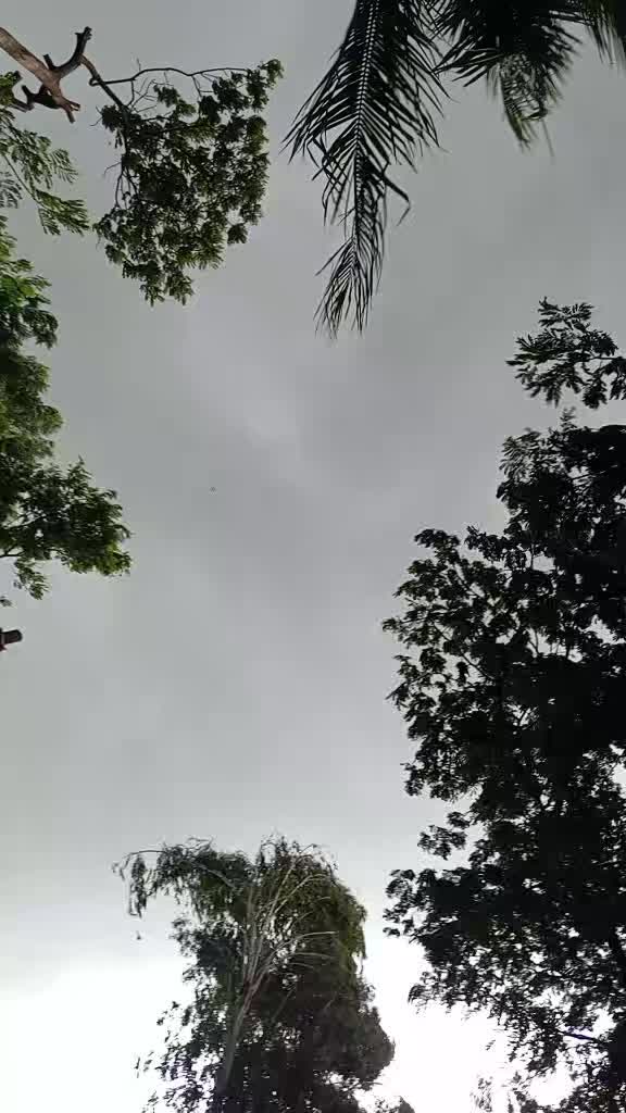 @ফুল🌸🌼