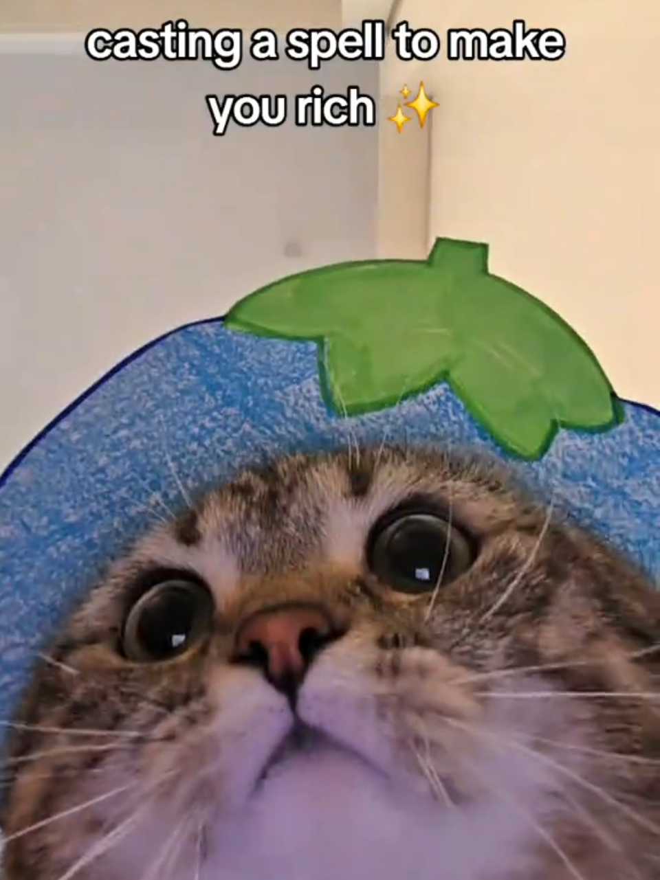 @Luka