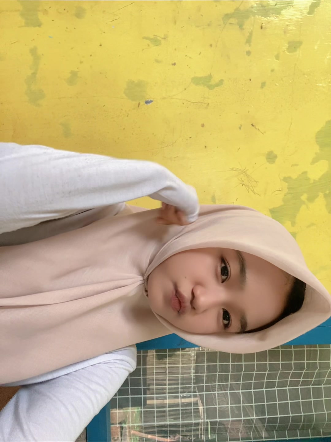 @araaa