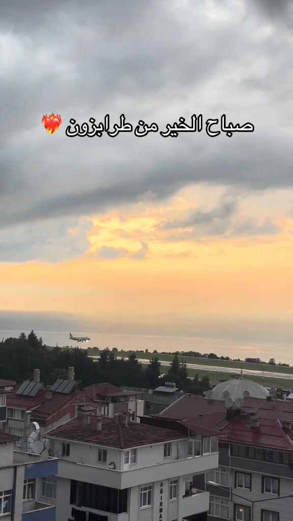 @شركة بالميريا🐫 للسياحة 📸 ✈️