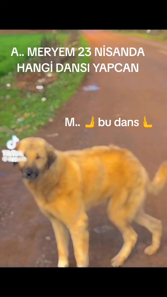 @ASLI 💙ZEYNEP FAN
